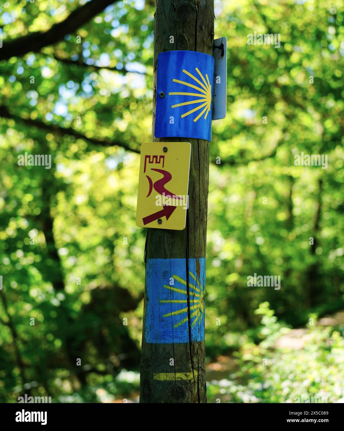 Rheinsteig- und Schlosswanderweg-Schilder an Bäumen hoch über dem Rhein. Stockfoto