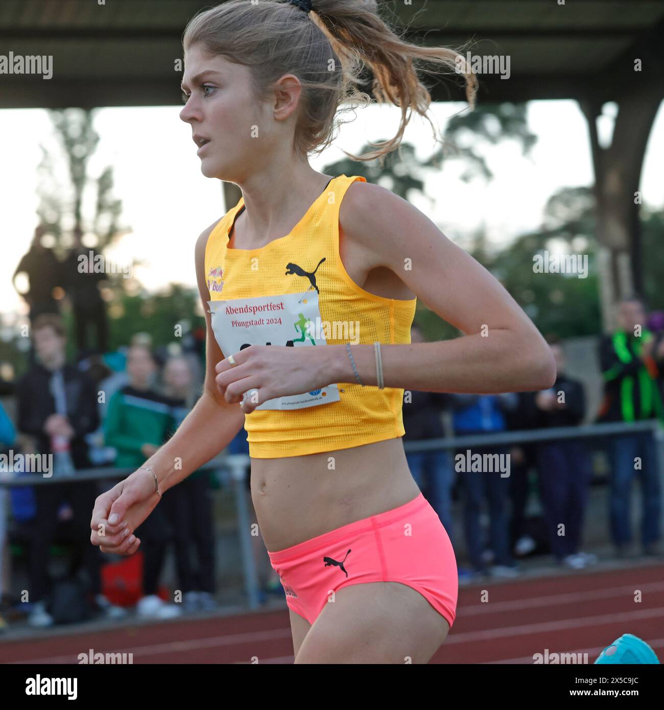 08.05.2024 Leichtathletik 1. Abendsportfest im TSV Stadion von TSV Pfungstadt 1500m Lauf Damen am Start mit Startnummer 180 GESA FELICITAS KRAUSE (Silvesterlauf Trier) Siegerin Gewinnerin x Nr 244 KONSTANZE KLOSTERHALFEN (TSV Bayer 04 Leverkusen) (Foto: Peter Henrich) Stockfoto