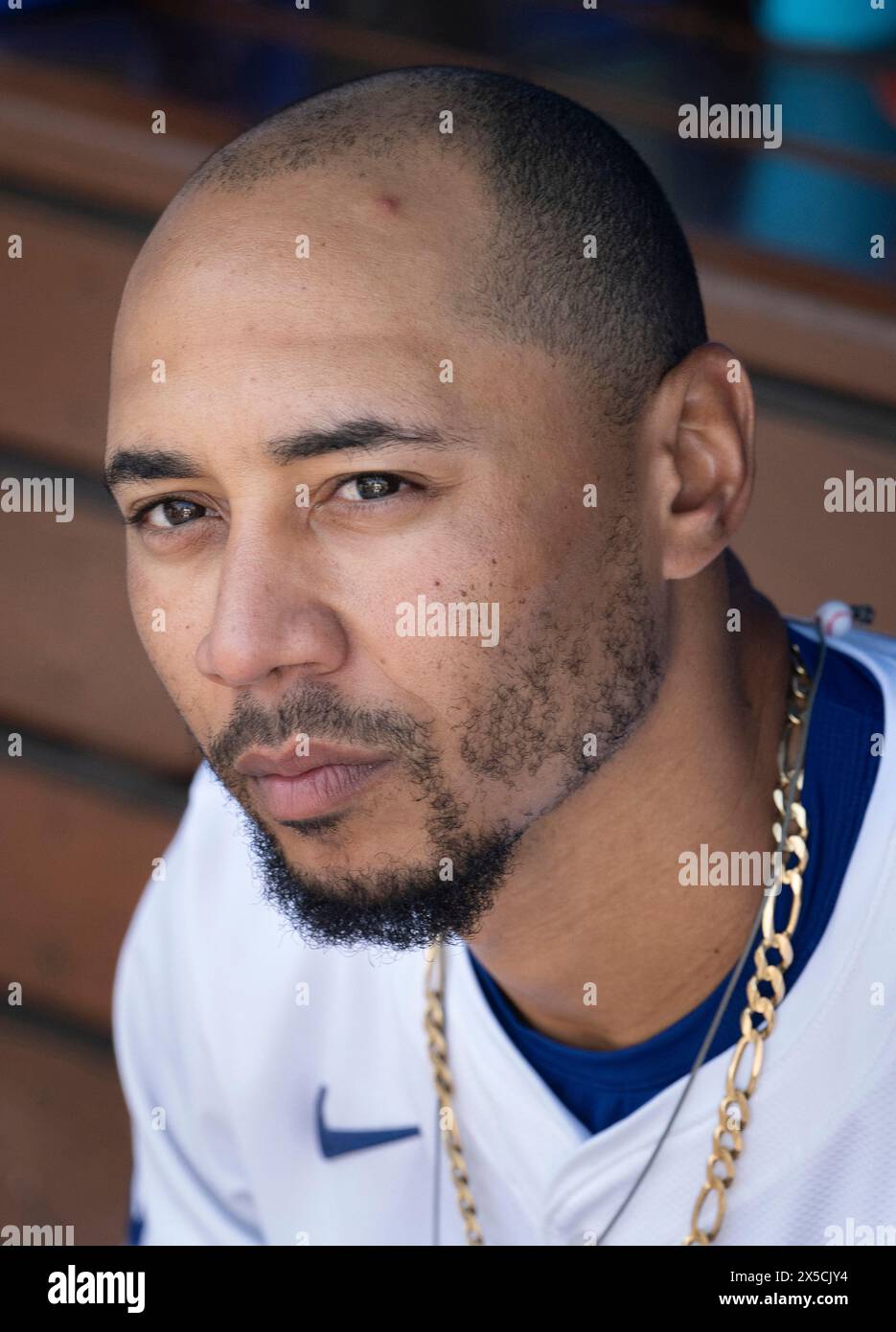 Los Angeles, Kalifornien, USA. Mai 2024. Los Angeles Dodger MOOKIE BETTS im Dodger Dugout am 8. Mai 2024. Die Dodgers besiegten die Miami Marlins 3-1 im Dodger Stadium. (Kreditbild: © Mark Edward Harris/ZUMA Press Wire) NUR REDAKTIONELLE VERWENDUNG! Nicht für kommerzielle ZWECKE! Stockfoto