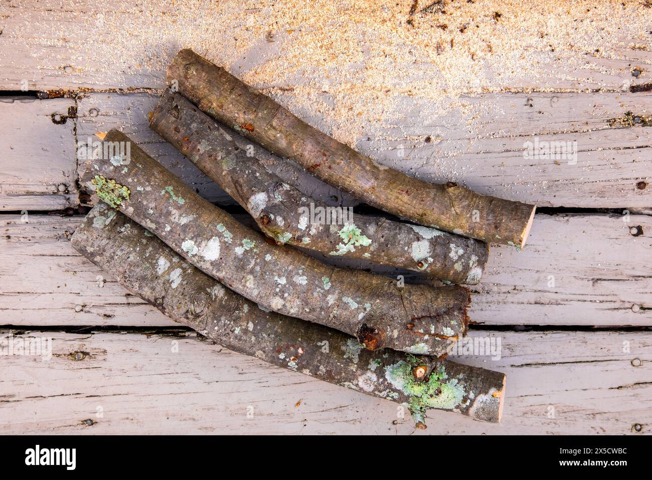 Haufen geschnittener Brennholzstämme über einem Holzbretthintergrund, Konzept für gesägtes Feuerholz Stockfoto