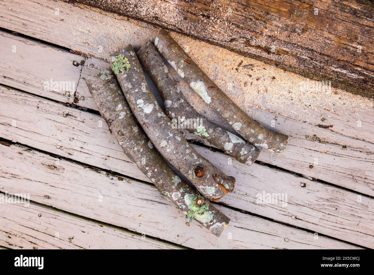 Haufen geschnittener Brennholzstämme über einem Holzbretthintergrund, Konzept für gesägtes Feuerholz Stockfoto