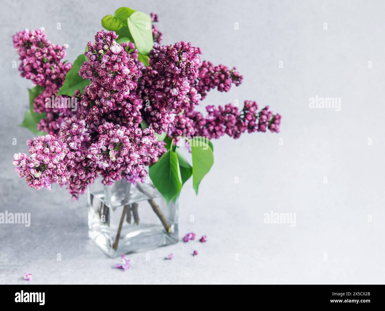 Ein Haufen lilafarbener Blüten in einer Vase Stockfoto