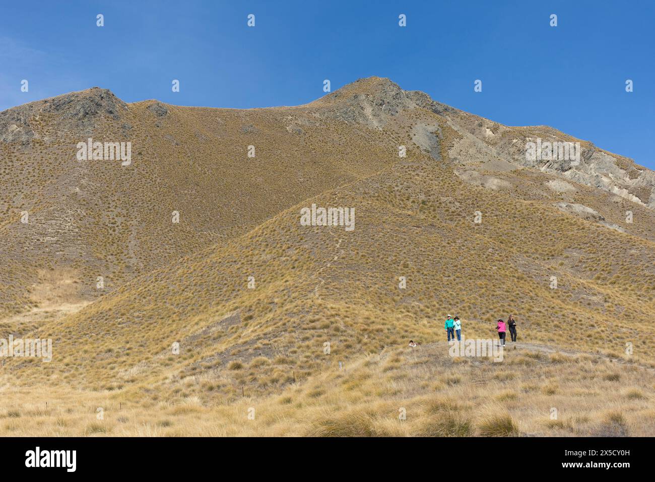 Gipfelaussichtspunkt am Lindis Pass, Central Otago, Otago Region, Südinsel, Neuseeland Stockfoto