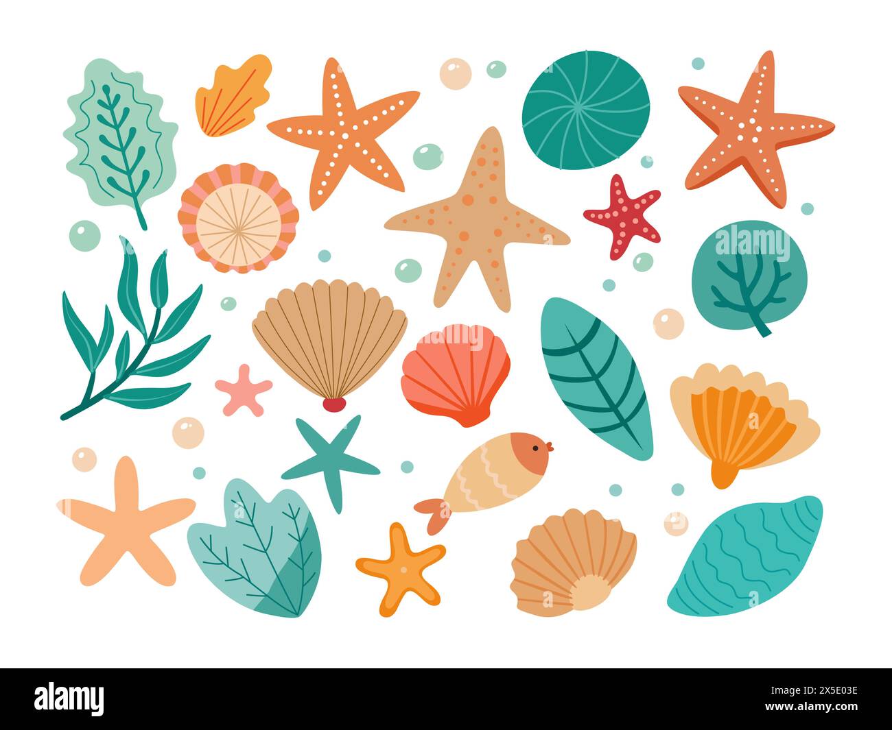 Set aus farbigen Muscheln, Algen und Seestern Stock Vektor
