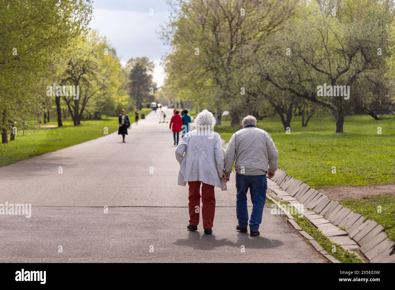 Seniorenpaar, Hände haltend, schlendert durch den Frühlingspark. Glückliches Alter. Stockfoto