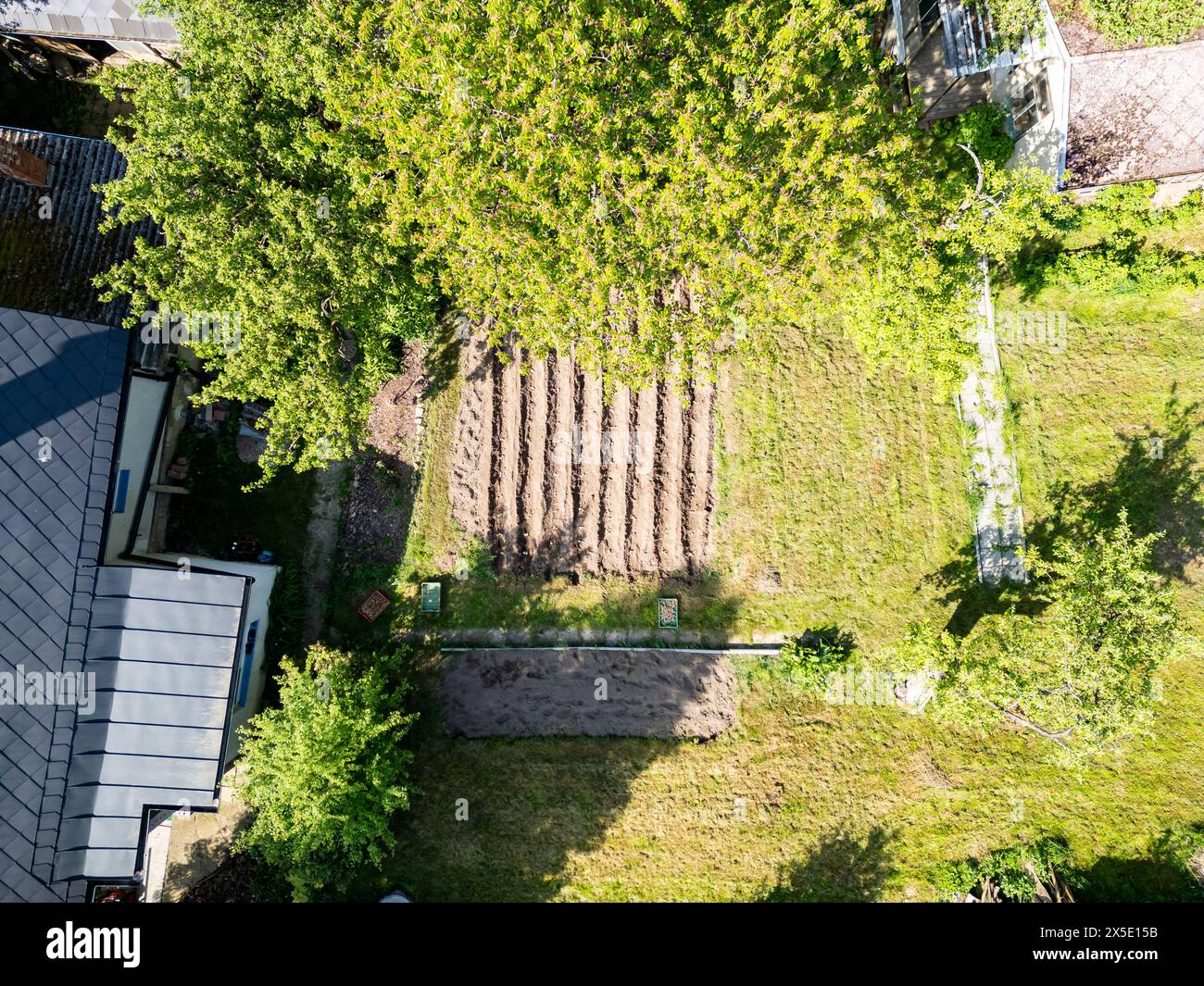 Luftdrohne von oben nach unten auf das Kartoffelfeld, das für den Anbau in einem kleinen altmodischen Garten vorbereitet ist. Stockfoto