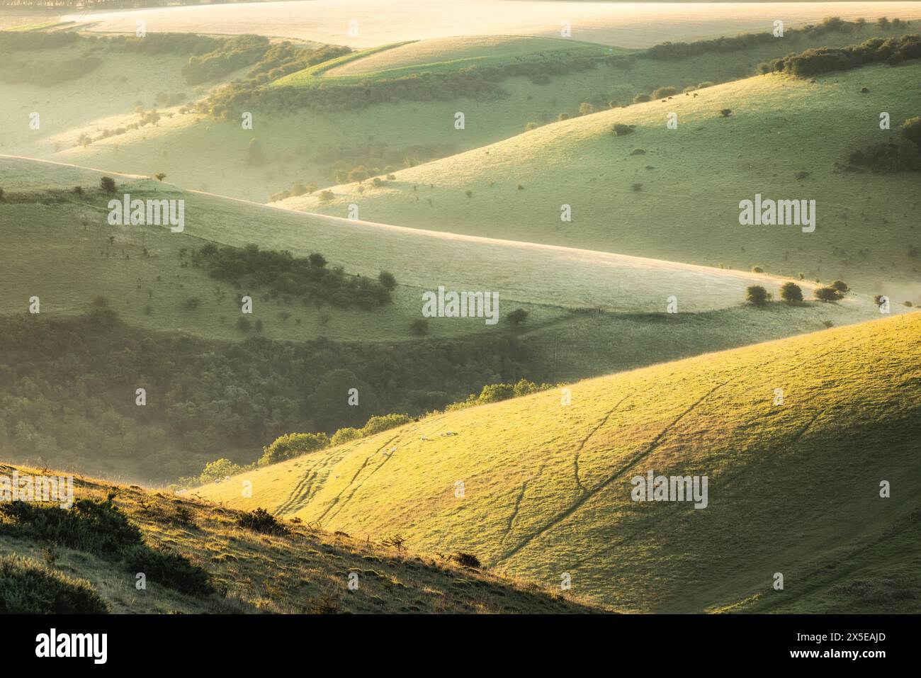 Melbury aus Melbury Hill, Cranborne Chase, Dorset, England, Großbritannien Stockfoto