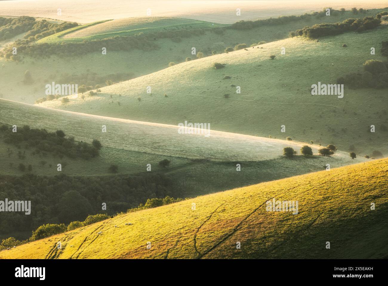 Melbury aus Melbury Hill, Cranborne Chase, Dorset, England, Großbritannien Stockfoto