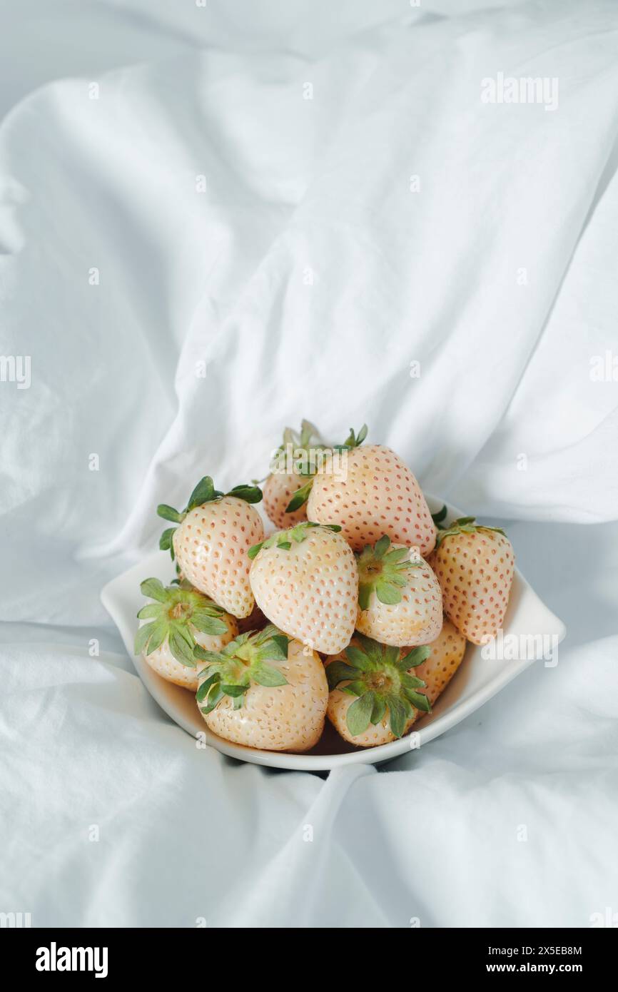 Nahaufnahme einer weißen Keramikschale mit einigen weißen Erdbeeren auf einem ungebauten Bett mit Tageslicht Stockfoto