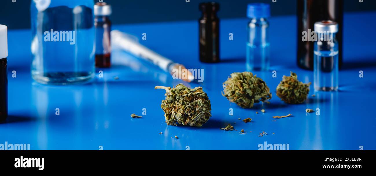 Einige Cannabisknospen auf einem blauen Tisch, neben einigen Kolben und einer Spritze, in einem Panoramaformat, um sie als Webbanner oder Kopfzeile zu verwenden Stockfoto
