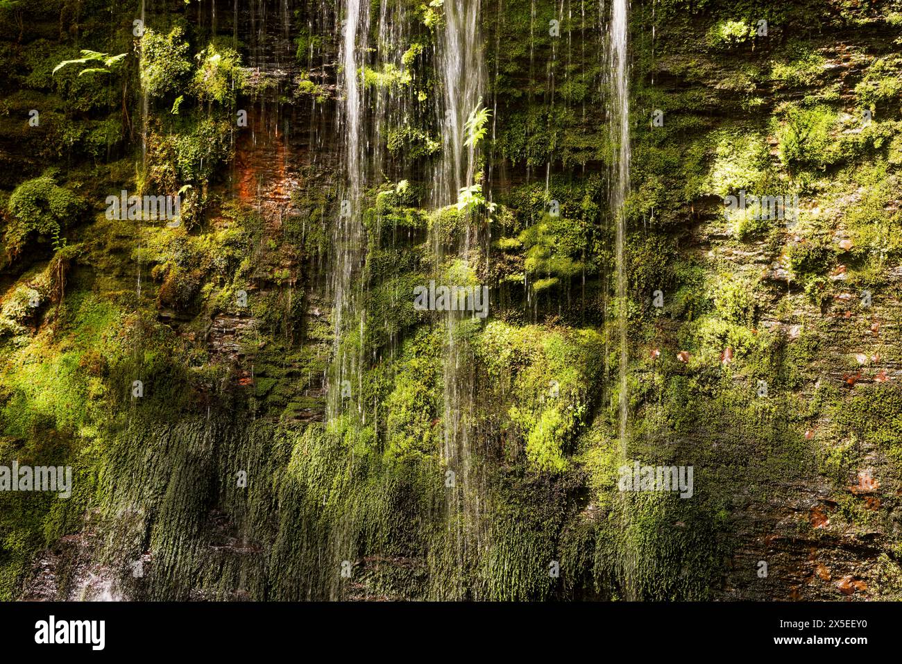 Wasserfall in Redisher Wood, Bury, Greater Manchester. Stockfoto