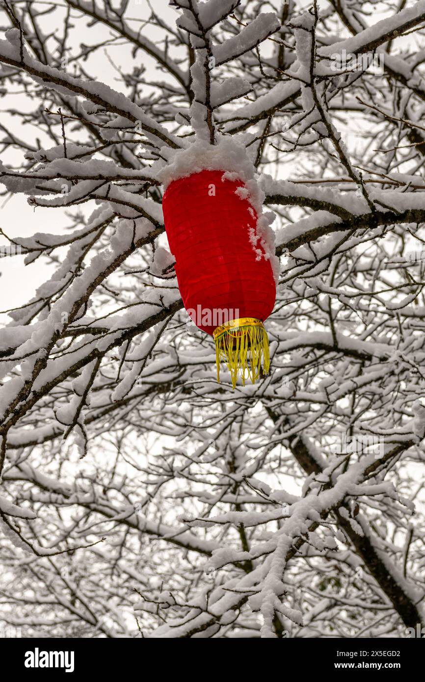 Die chinesische Neujahrs-Laterne bedeckt mit Schnee. Neujahrskonzept Stockfoto Die chinesische Neujahrs-Laterne bedeckt mit Schnee. Neujahrskonzept Stockfoto