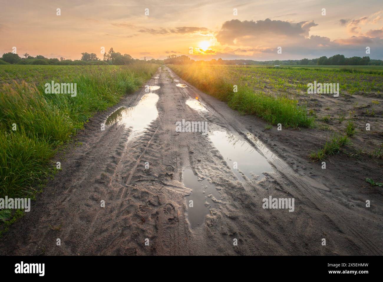 Pfützen nach Regen auf unbefestigter Straße und Sonnenuntergang Himmel mit Wolken Stockfoto