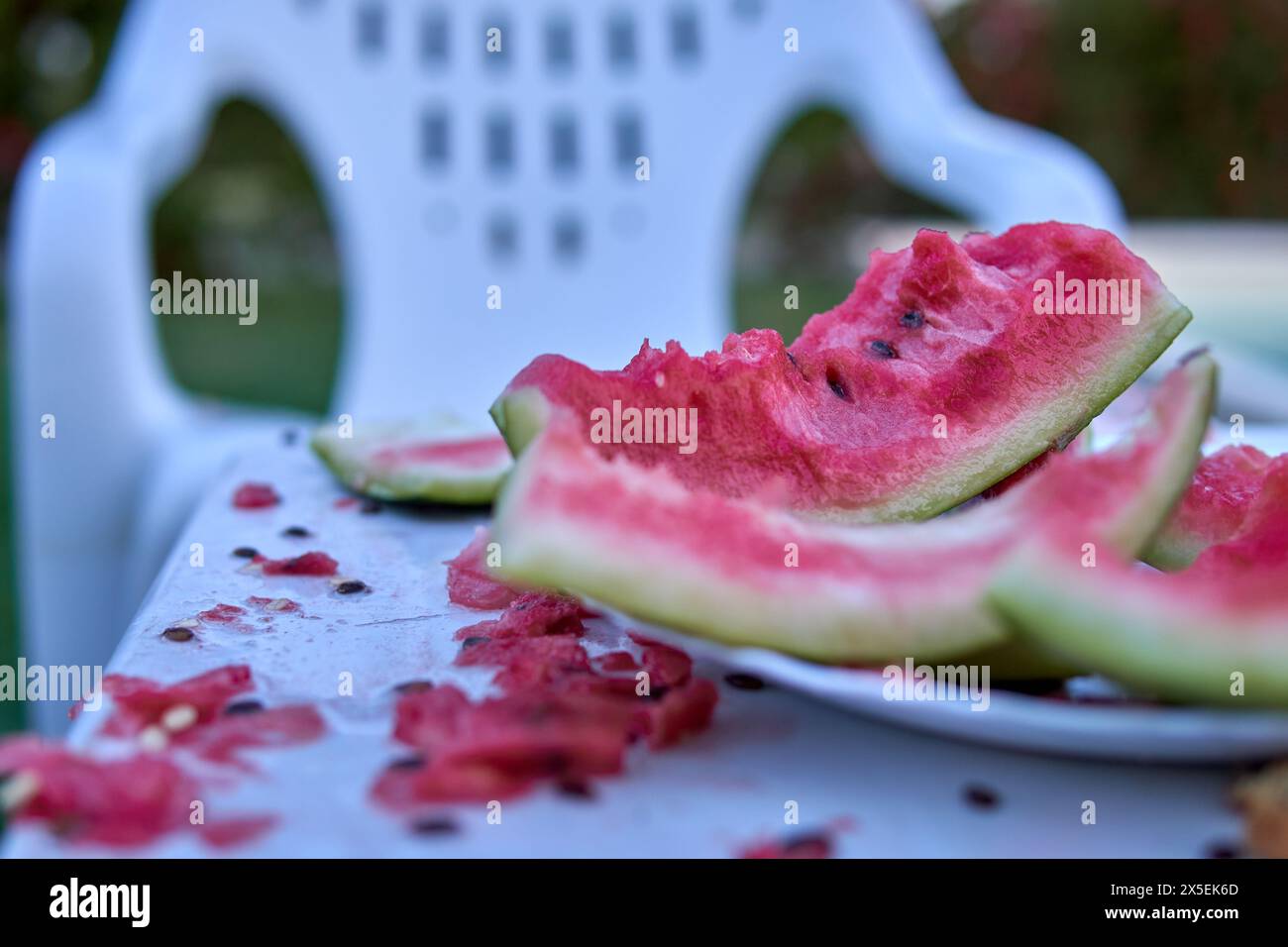 Stücke von Wassermelonenresten auf einem weißen Tisch. Der Begriff der Verschmutzung Stockfoto