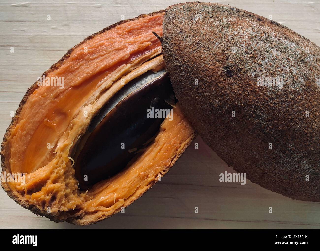 Große Mamey Sapote. Guadaljara, Mexiko. Stockfoto