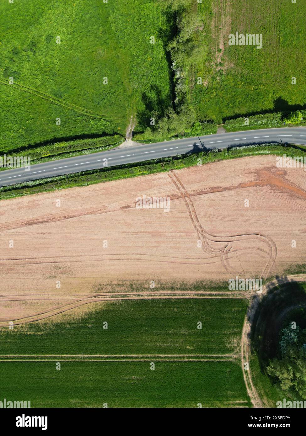 Luftaufnahme des Wassers beschädigte landwirtschaftliche Nutzpflanzen in Herefordshire Großbritannien - dieses Feld war während des Winters (2023) und des Frühlings (2024) unter Wasser Stockfoto