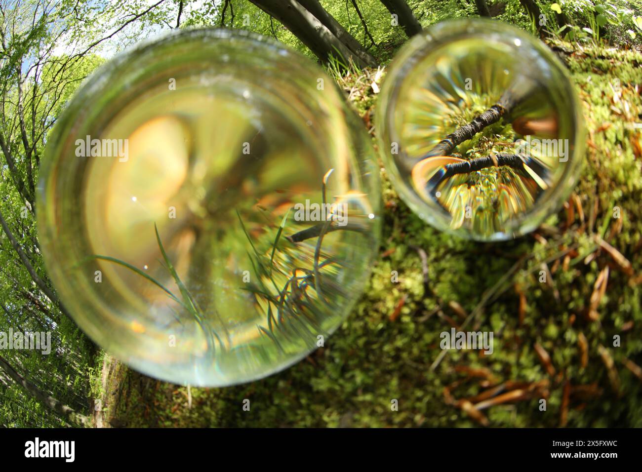 Grünes Gras im Freien, umgedrehte Reflexion. Kristallkugeln im Wald Stockfoto