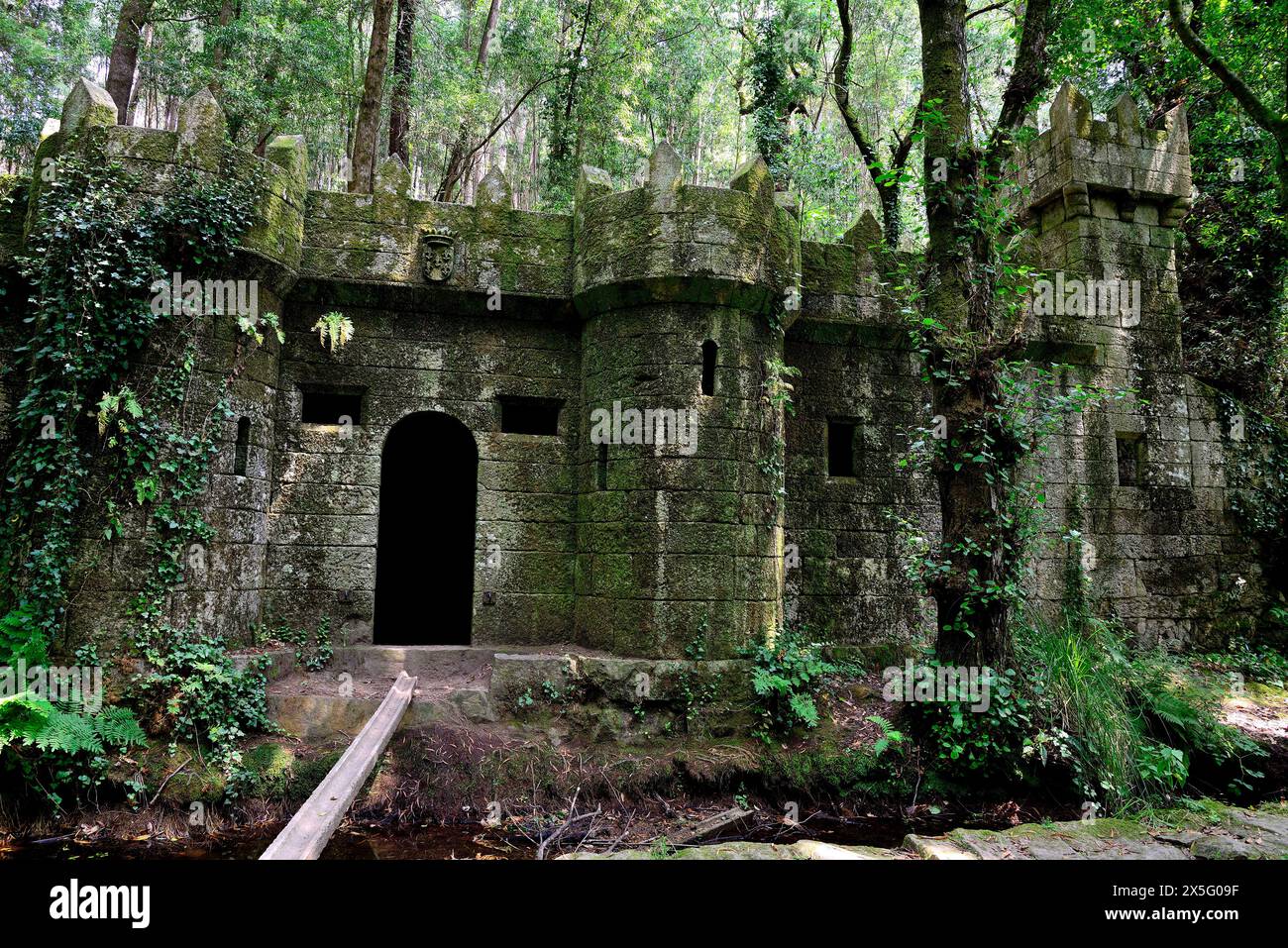 Castelo do Conde in „verzaubertem Holz“ von Aldan, Cangas, Pontevedra, Spanien Stockfoto