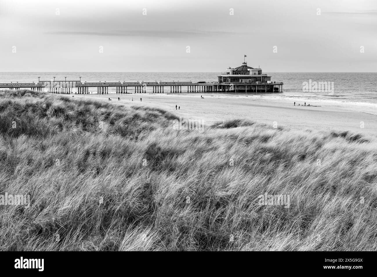 Blankenberge Pier mit Strand und Nordsee von Sanddünen in schwarz-weiß, Westflandern, Belgien. Stockfoto