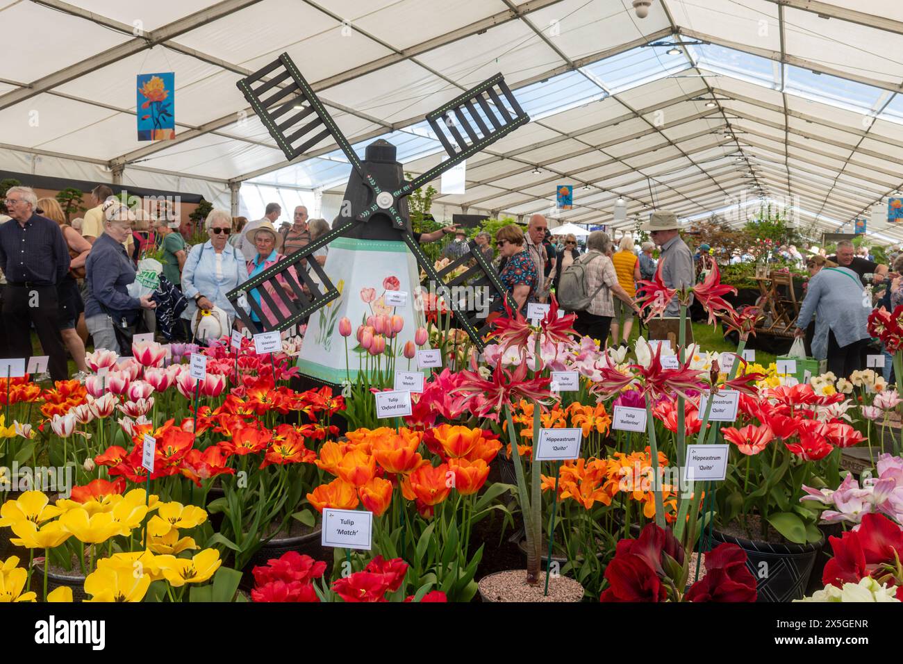 Mai 2024. Das RHS Malvern Spring Festival wurde heute an einem warmen sonnigen Tag eröffnet. Tausende von Besuchern besuchten die jährliche Blumenausstellung auf dem Three Counties Showground in Malvern, Worcestershire, England, Großbritannien. Die Veranstaltung findet über 4 Tage statt und endet am 12. Mai 2024. Stockfoto