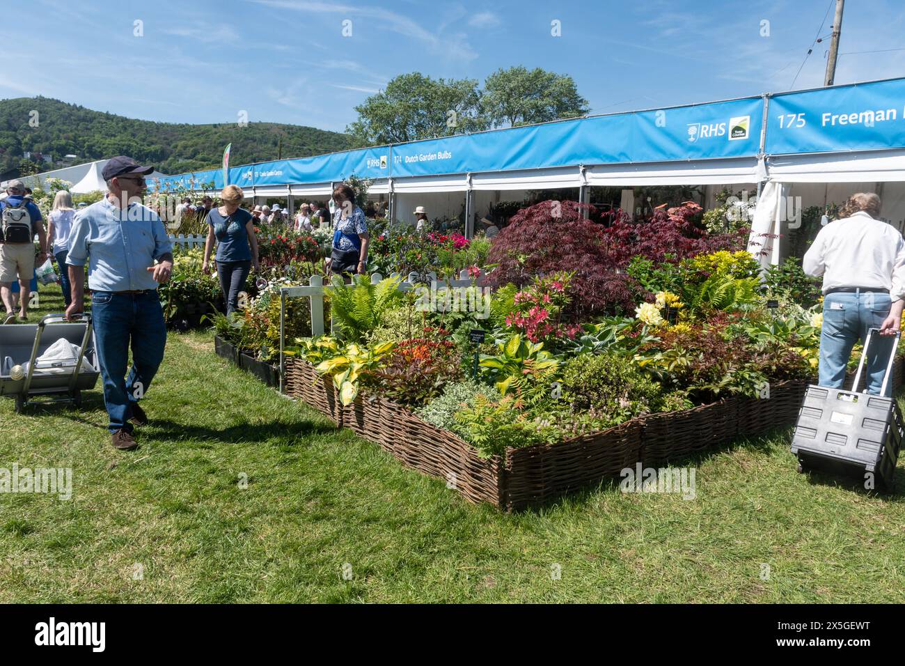 Mai 2024. Das RHS Malvern Spring Festival wurde heute an einem warmen sonnigen Tag eröffnet. Tausende von Besuchern besuchten die jährliche Blumenausstellung auf dem Three Counties Showground in Malvern, Worcestershire, England, Großbritannien. Die Veranstaltung findet über 4 Tage statt und endet am 12. Mai 2024. Stockfoto