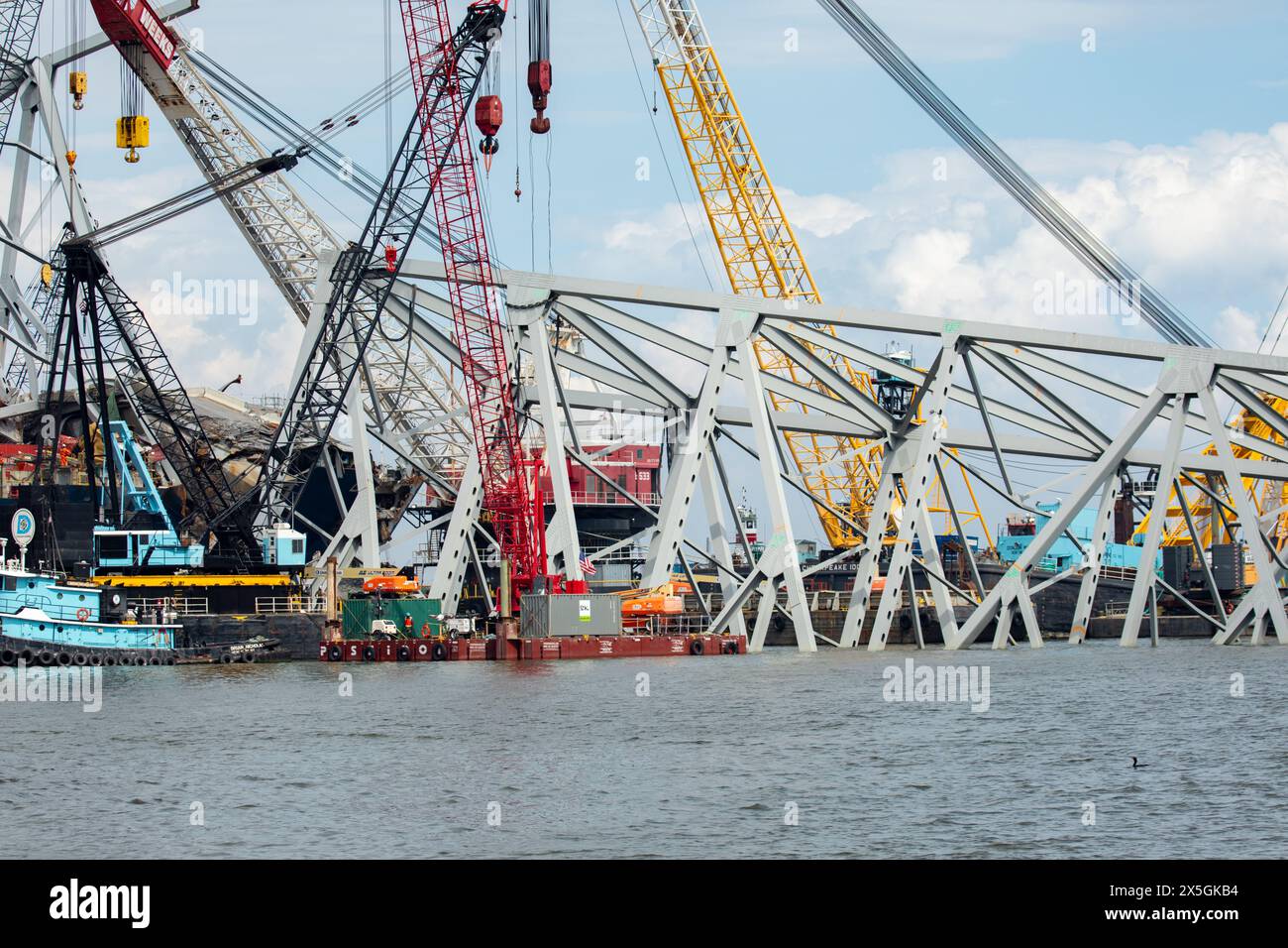 Dundalk, Vereinigte Staaten von Amerika. Mai 2024. Bergungsmannschaften verwenden eine hydraulische Bergungsklaue, um das Wrack der eingestürzten Francis Scott Key Bridge über den Patapsco River am 7. Mai 2024 in der Nähe von Dundalk, Maryland, zu beseitigen. Die Brücke wurde am 26. März von dem 984-Fuß-Containerschiff MV Dali getroffen und stürzte zusammen, wobei sechs Arbeiter ums Leben kamen. Quelle: Christopher Rosario/U. S Army Corps of Engineers/Alamy Live News Stockfoto