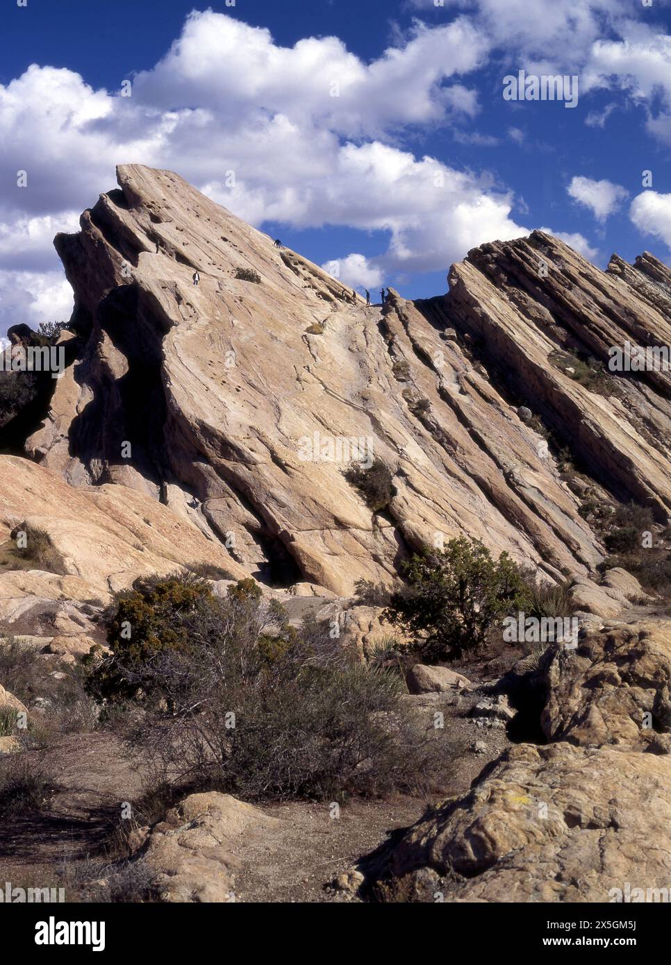 Vasquez Rocks, Wüste, Landschaft, Felsen, Menschen, Südkalifornien, Los Angeles, Kalifornien, USA Stockfoto