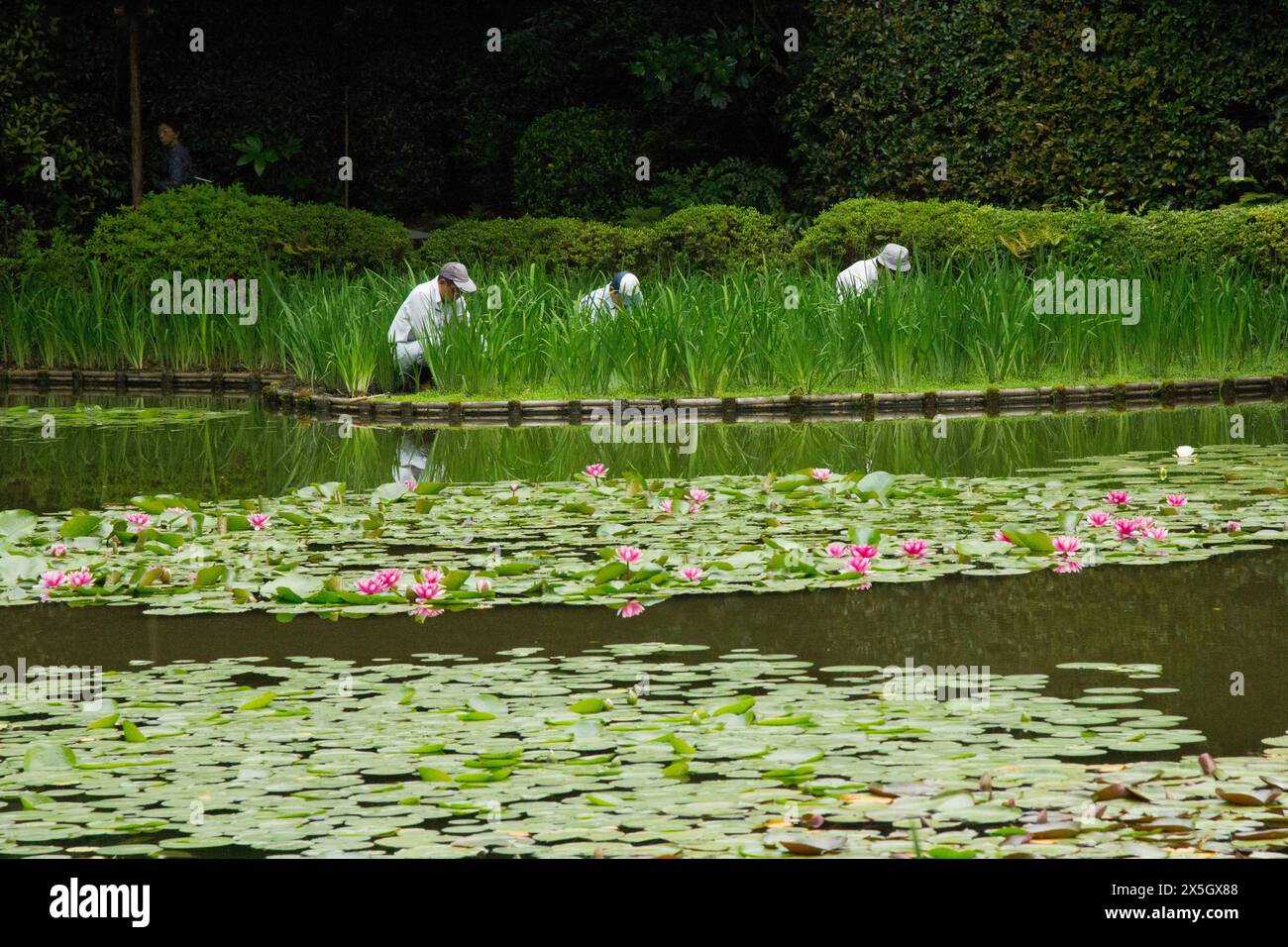 Heian-jingu-Schrein und Gärten Stockfoto