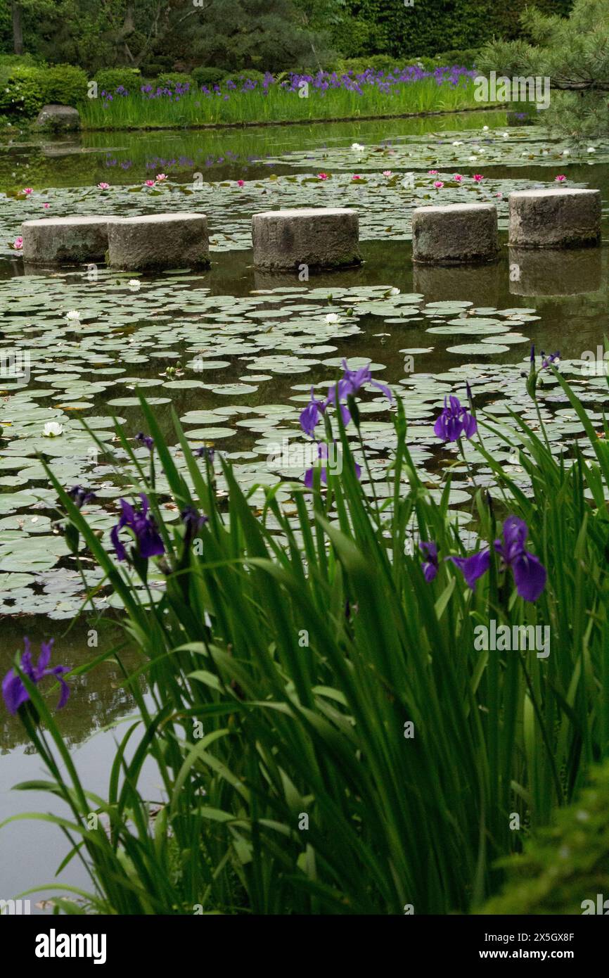 Heian-jingu-Schrein und Gärten Stockfoto