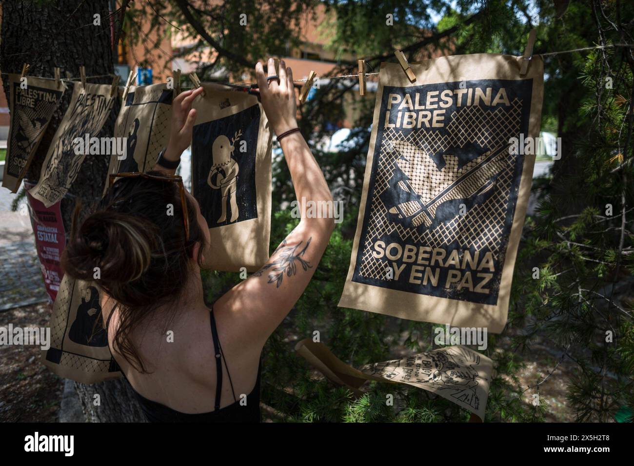 Madrid, Spanien. Mai 2024. Eine Frau hängt während eines Studentencampings auf dem Campus der Complutense University of Madrid palästinensische Banner an die Seite der Zelte und fordert, dass der Völkermord an den Palästinensern beendet wird. Studenten verschiedener Fakultäten der Complutense University of Madrid (UCM) errichteten ein unbefristetes Lager mit dem Ziel, ihre Unterstützung für das palästinensische Volk zu zeigen und ein Ende des Völkermords im Gazastreifen zu fordern. (Foto: Luis Soto/SOPA Images/SIPA USA) Credit: SIPA USA/Alamy Live News Stockfoto