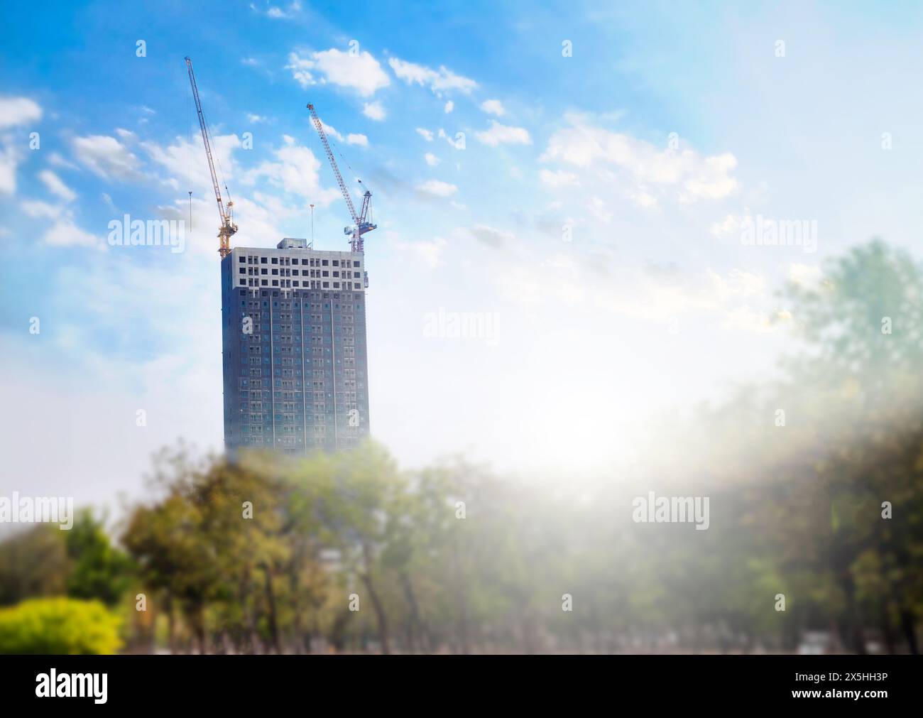 Über den Turmkran auf der Baustelle hinter dem Baum und Sonnenschein Stockfoto