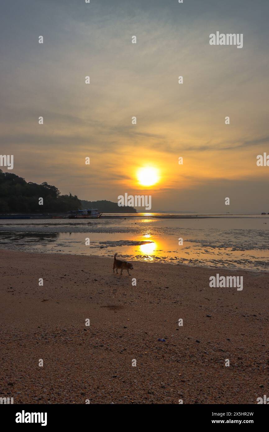 Sonnenaufgang mit Blick auf den Strand, Phuket Island, Thailand Stockfoto