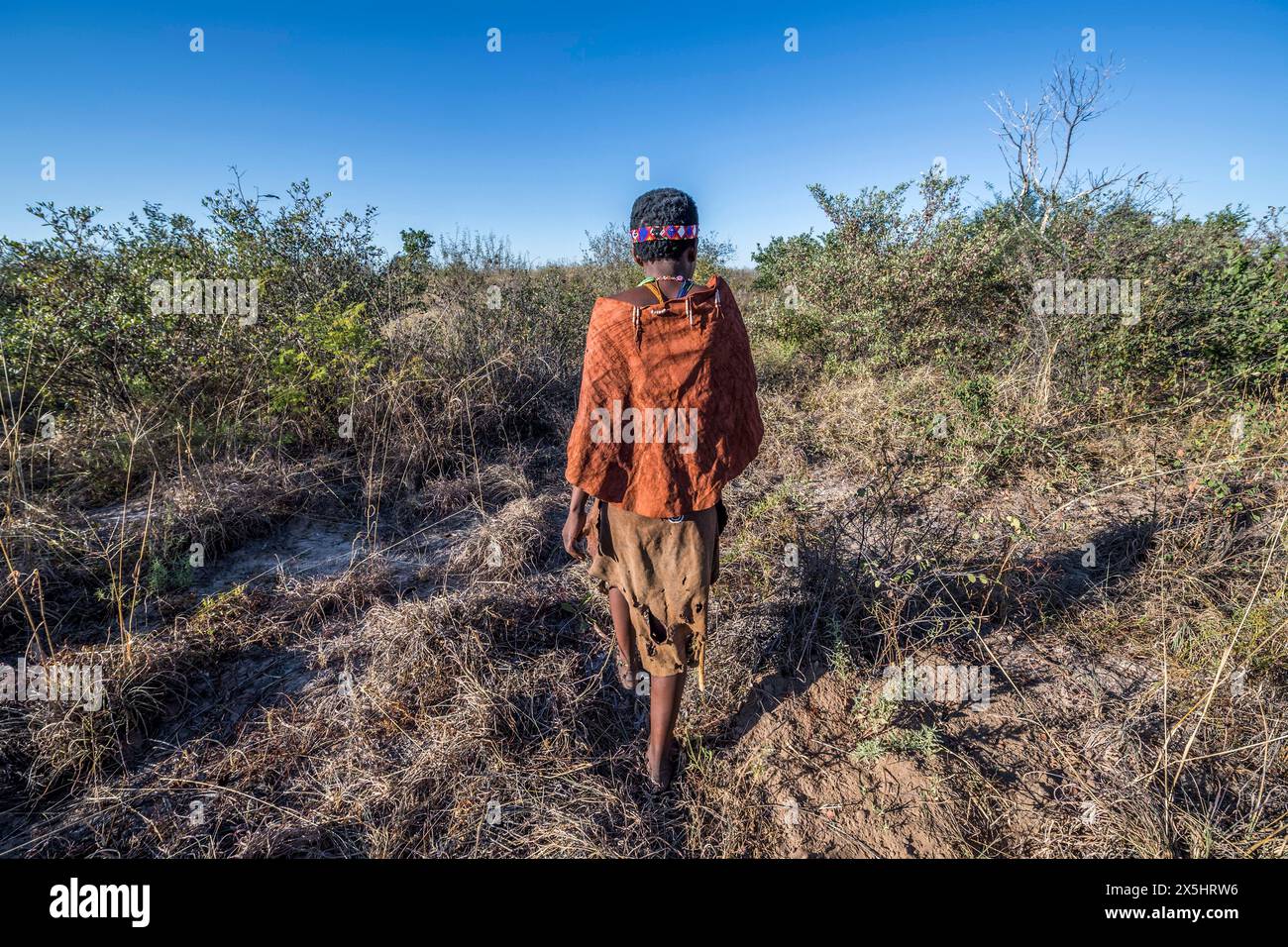 Afrika, Botswana, Kalahari Wüste. Porträt eines Jägers und Sammlers der! Kung People, Teil des San-Stammes. (Nur für redaktionelle Zwecke) Stockfoto