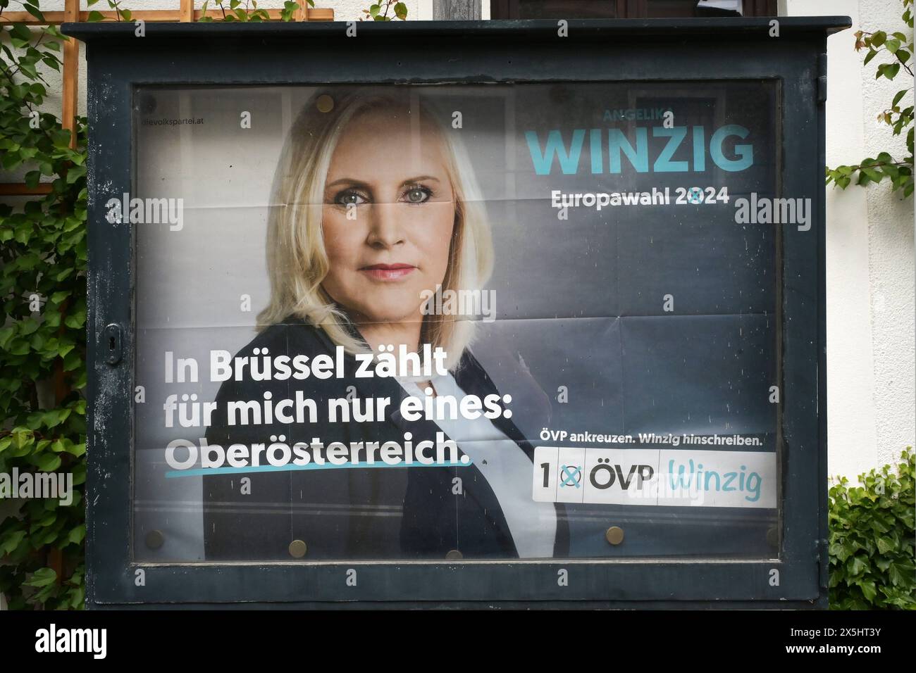 Spaziergang durch den Ort Traunkirchen am Traunsee im oberösterreichischen Salzkammergut, am 09.05.2024. Das Bild zeigt ein Werbeplakat die Abgeordnete zum Nationalrat und Kandidatin der österreichischen Volkspartei, Angelika Winzig im Ortsgebiet von Traunkirchen 2024 - Spaziergang durch den Ort Traunkirchen am Traunsee im oberösterreichischen Salzkammergut, am 09.05.2024. *** Spaziergang durch das Dorf Traunkirchen am Traunsee im oberösterreichischen Salzkammergut, am 09 05 2024 zeigt das Bild ein Werbeplakat des Nationalratsmitglieds und Volkskandidaten Österreichs Stockfoto