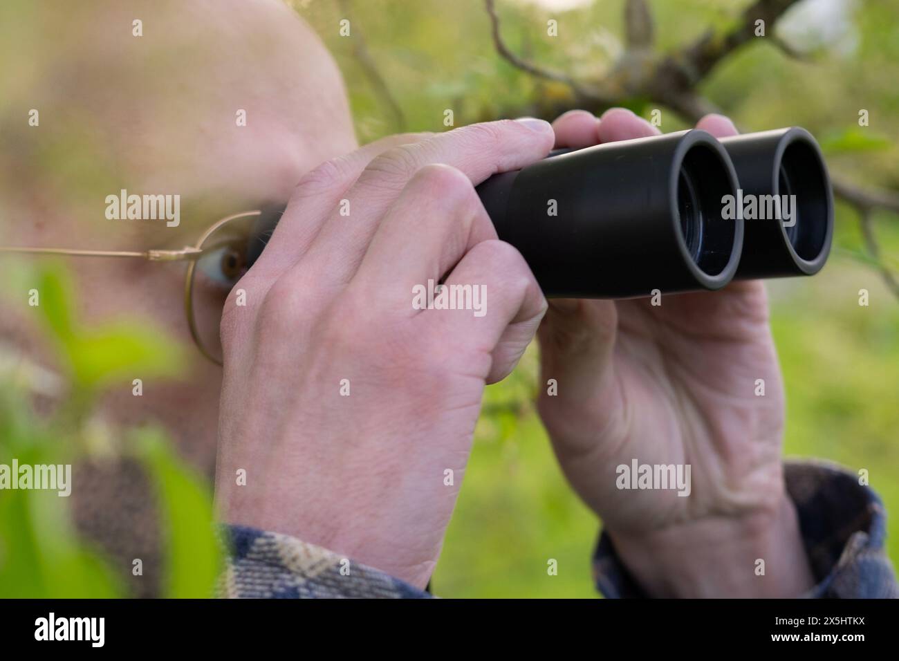Junger Mann, versteckt in üppigem Grün, Spione bekleidet durch Ferngläser, Privatdetektiv überwacht, Nervenkitzel sucht das Ziel Stockfoto