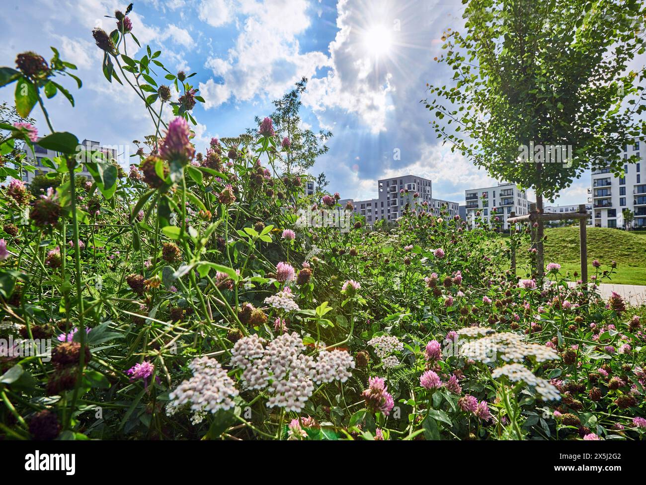 Agfa Park Landschafts- und Architekturaufnahmen des neuen Wohnbaugebietes Agfa-Park in München Giesing. München Bayern Deutschland *** Agfa Park Landschafts- und Architekturfotos des neuen Wohngebietes Agfa Park in München Giesing München Bayern Deutschland Copyright: Argumx/xThomasxEinberger Stockfoto