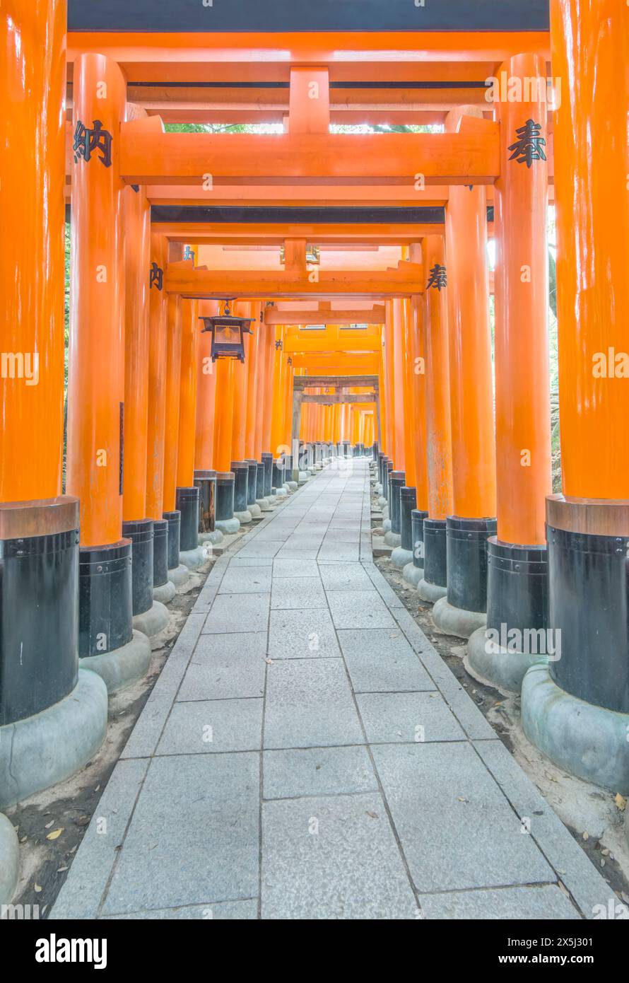 Japan, Kyoto. Großer Schrein Von Fushimi Inari, Tausend Tore Stockfoto