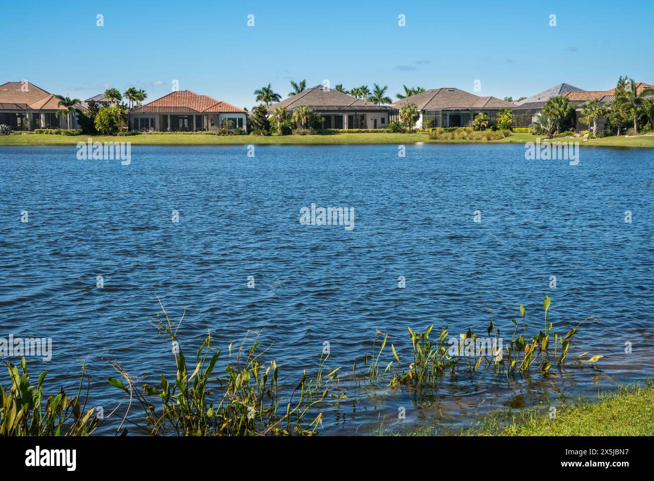 Lakewood Ranch, FL, USA-15. September 2022: Häuser am See in der oberen Mittelschicht mit Palmen und blauem Himmel. Stockfoto