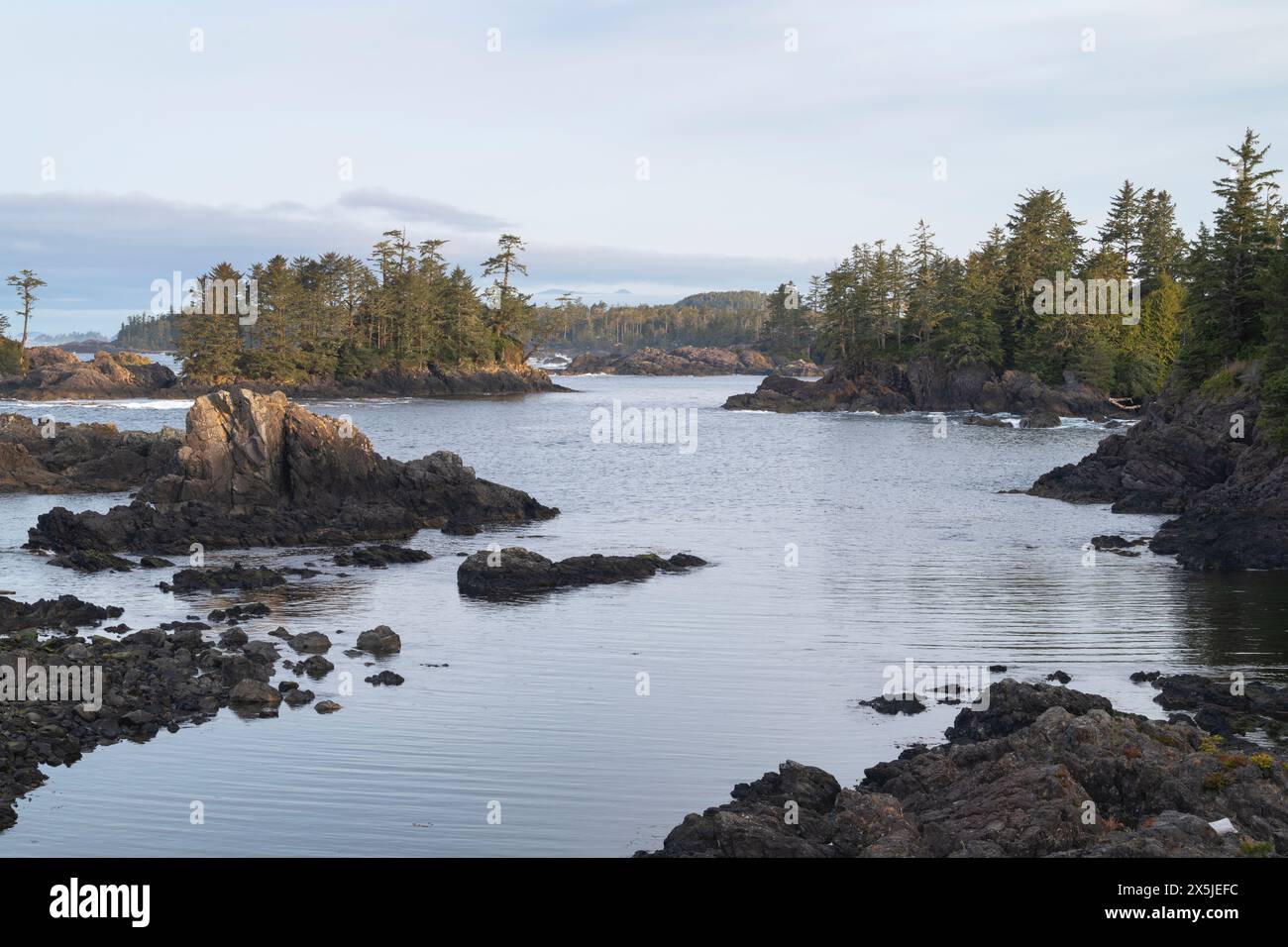 Raue Küste entlang des Wild Pacific Trail. In Ucluelet, Vancouver Island, British Columbia. Stockfoto