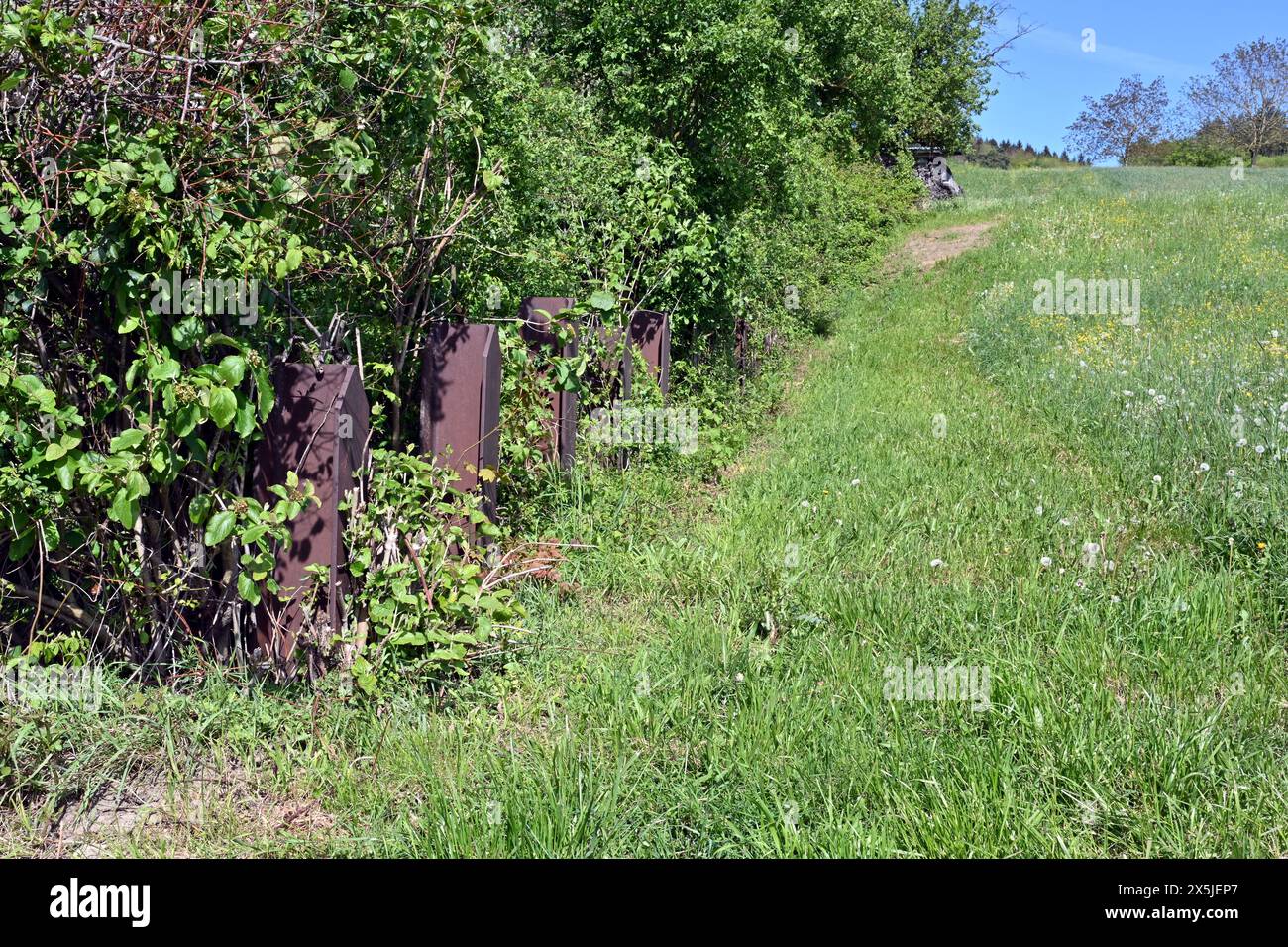 Metallschienen wurden als Panzerabwehrhindernisse und militärischer Wehrschutz in einer Reihe eingesetzt, die während des 2. Weltkriegs in der Schweiz gebaut wurden. Stockfoto