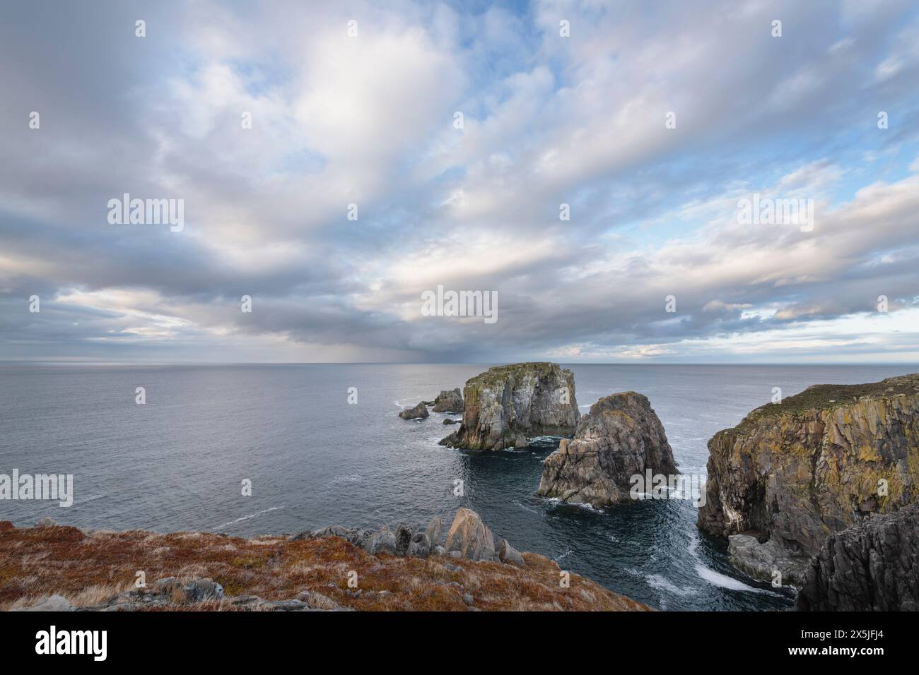 Zerklüftete Landzungen in der Nähe von Spillars Cove, Bonavista Peninsula, Neufundland. Stockfoto