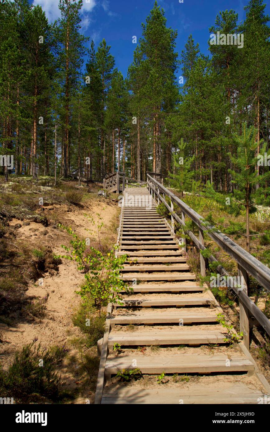 Finnland, Nord-Ostrobothnia, Rokua-Nationalpark. Treppe auf dem Weg Stockfoto