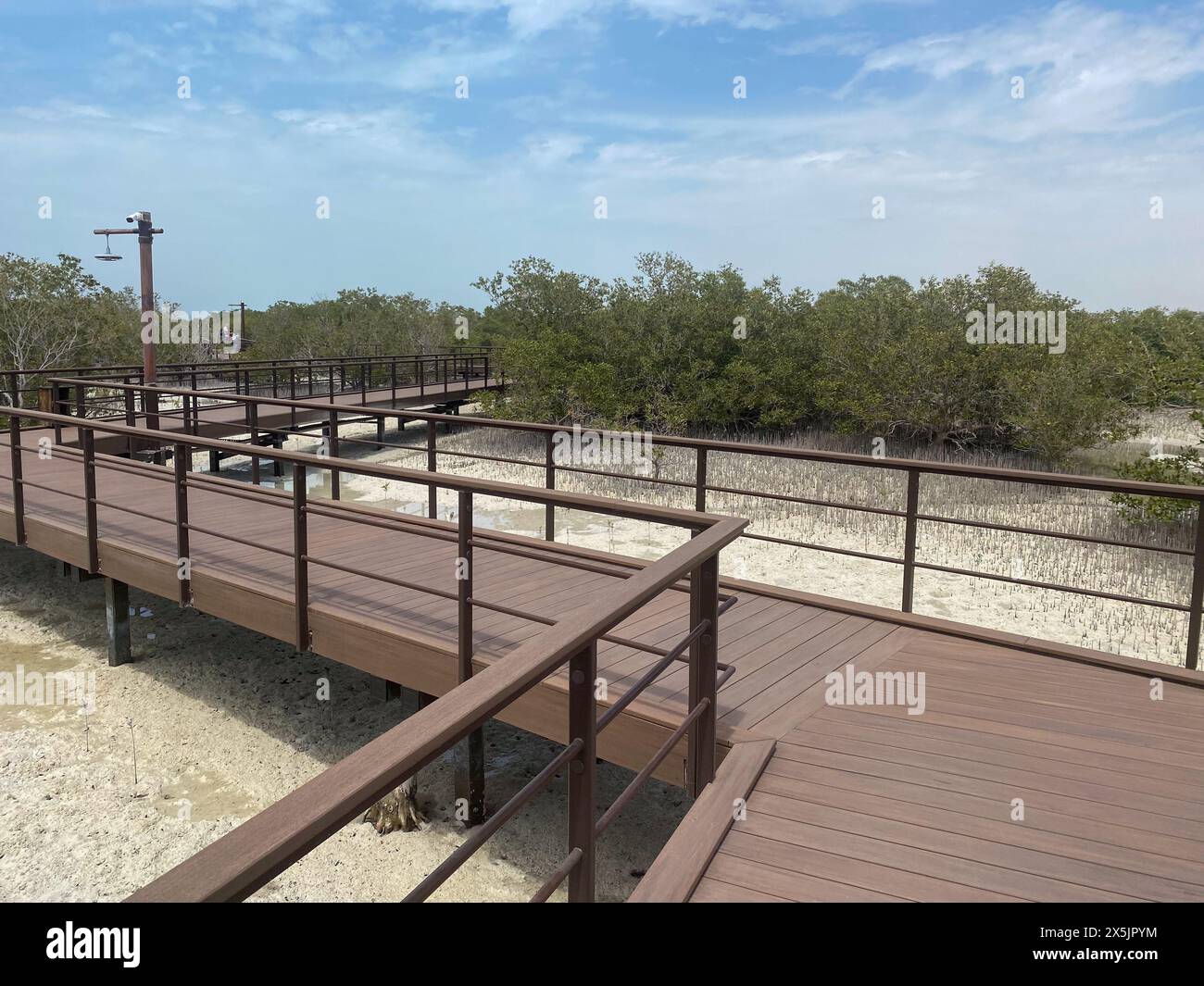 5.1.2024 Abu Dhabi, Vereinigte Arabische Emirate, „Jubail Mangrove Park Boardwalk“ in einem Bildungszentrum für Nachhaltigkeit und Naturschutz. Stockfoto