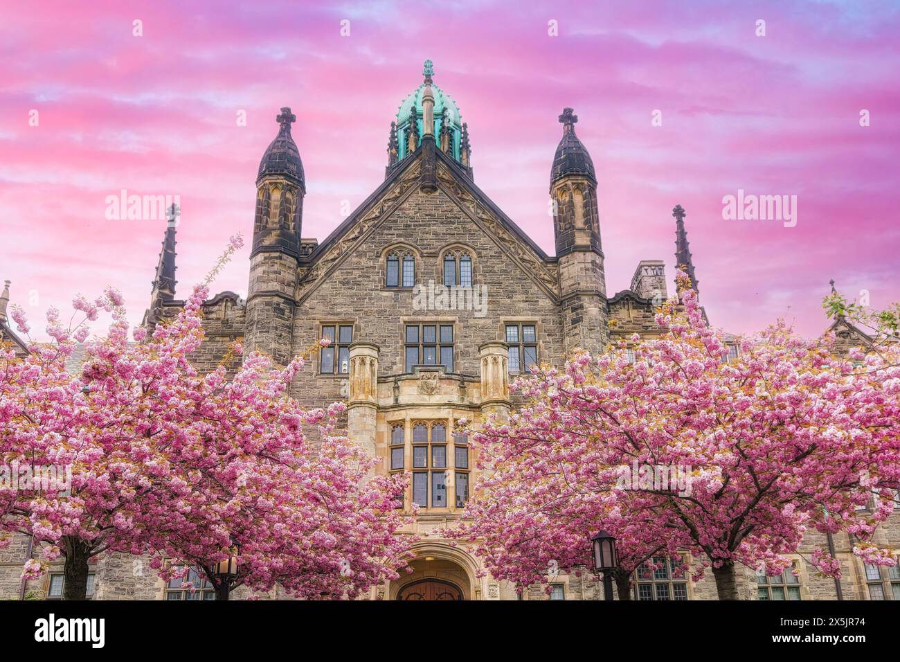 Trinity College Building und Cherry Blossom Stockfoto