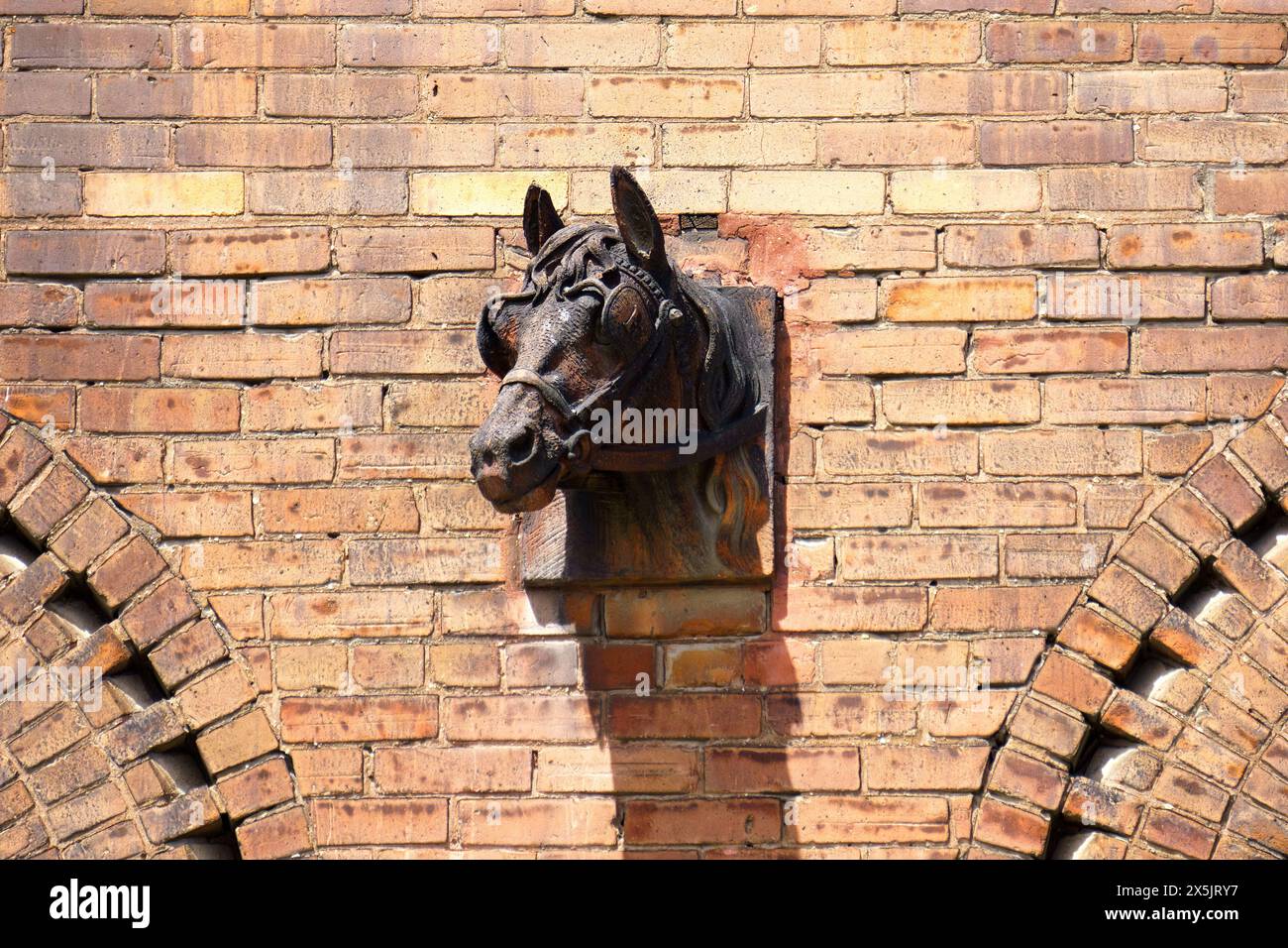 Metallskulptur des Pferdekopfes, Ziegelwand des Kolonialgebäudes, Bloor Street, Toronto, Kanada Stockfoto
