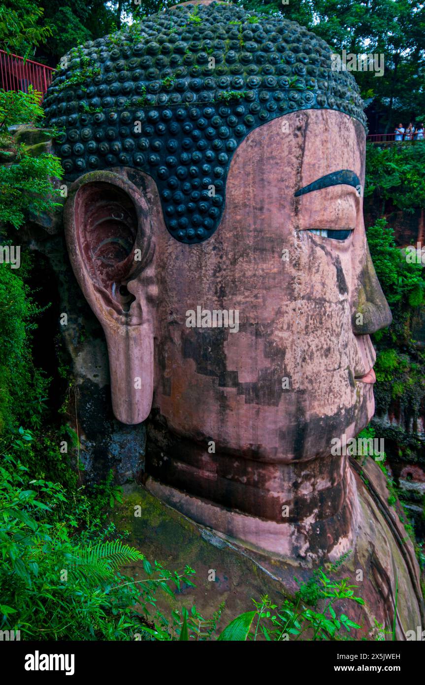 Leshan Giant Buddha, der größte Stein-Buddha der Welt, Mount Emei Scenic Area, UNESCO-Weltkulturerbe, Leshan, Sichuan, China, Asien Copyright: Mi Stockfoto