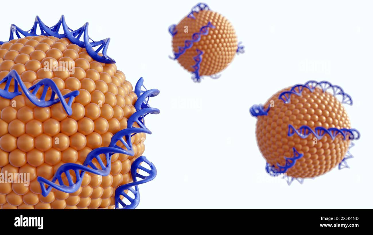 3D-Darstellung von DNA-Helixen-konjugierten Liposomen als DNA-Liposomenkomplex Stockfoto