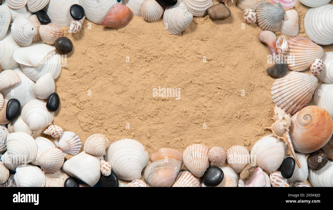 Blick von oben auf Muscheln und Schnecken in verschiedenen Größen und Farben, die einen Rahmen auf dem Sand bilden Stockfoto