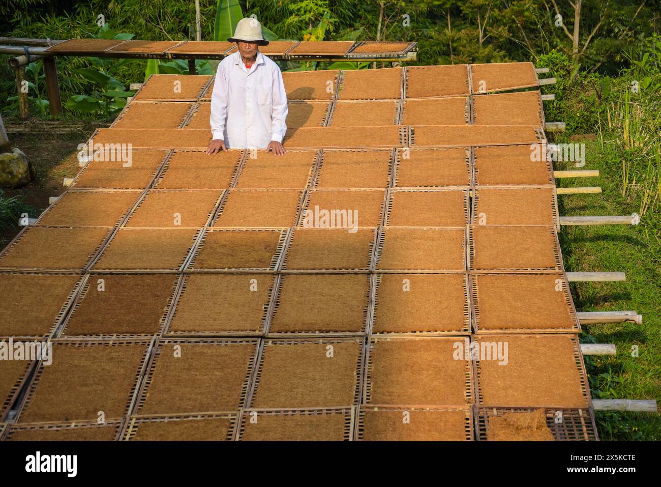 Sumedang Regency, West Java, Indonesien. Mai 2024. Ein Landwirt arrangiert Tabak-Tabletts in Tanjungsari, Sumedang Regency. Nach Angaben der Landwirte werden die getrockneten Tabakerzeugnisse zu einem Preis von 50 Tausend Rupien bis 130 Tausend Rupien pro Kilogramm verkauft, die in der Region West-Java vermarktet werden. Die Mehrheit der Einwohner dieses Dorfes sind Tabakbauern. (Kreditbild: © Dimas Rachmatsyah/ZUMA Press Wire) NUR REDAKTIONELLE VERWENDUNG! Nicht für kommerzielle ZWECKE! Stockfoto