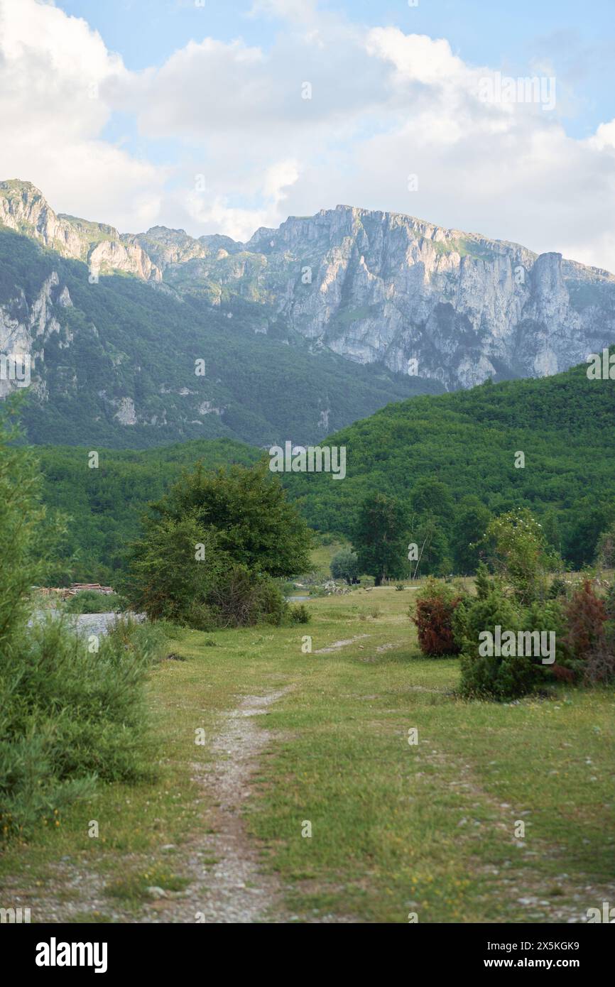 Das Bild zeigt einen ruhigen Pfad inmitten von grünen Bäumen mit hoch aufragenden Klippen als Kulisse, der ein Gefühl von Abenteuer und natürlicher Schönheit weckt Stockfoto
